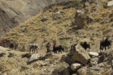 Dolpo Trekking