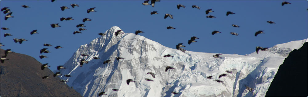 Mount Cho Oyu