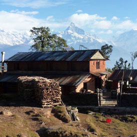 Panchase Trekking